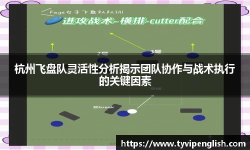 杭州飞盘队灵活性分析揭示团队协作与战术执行的关键因素
