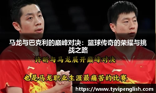 马龙与巴克利的巅峰对决：篮球传奇的荣耀与挑战之路